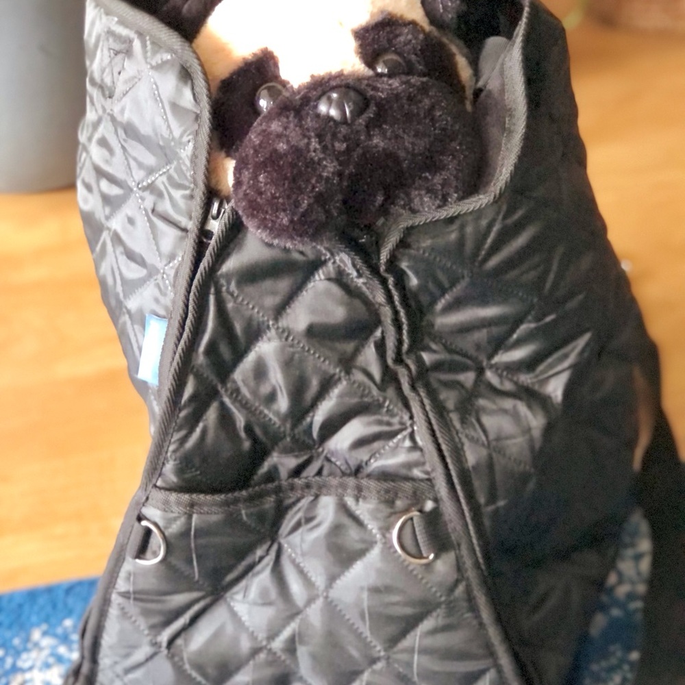 Quilted Pet Carrier/Car Seat - Picture 12 of 12